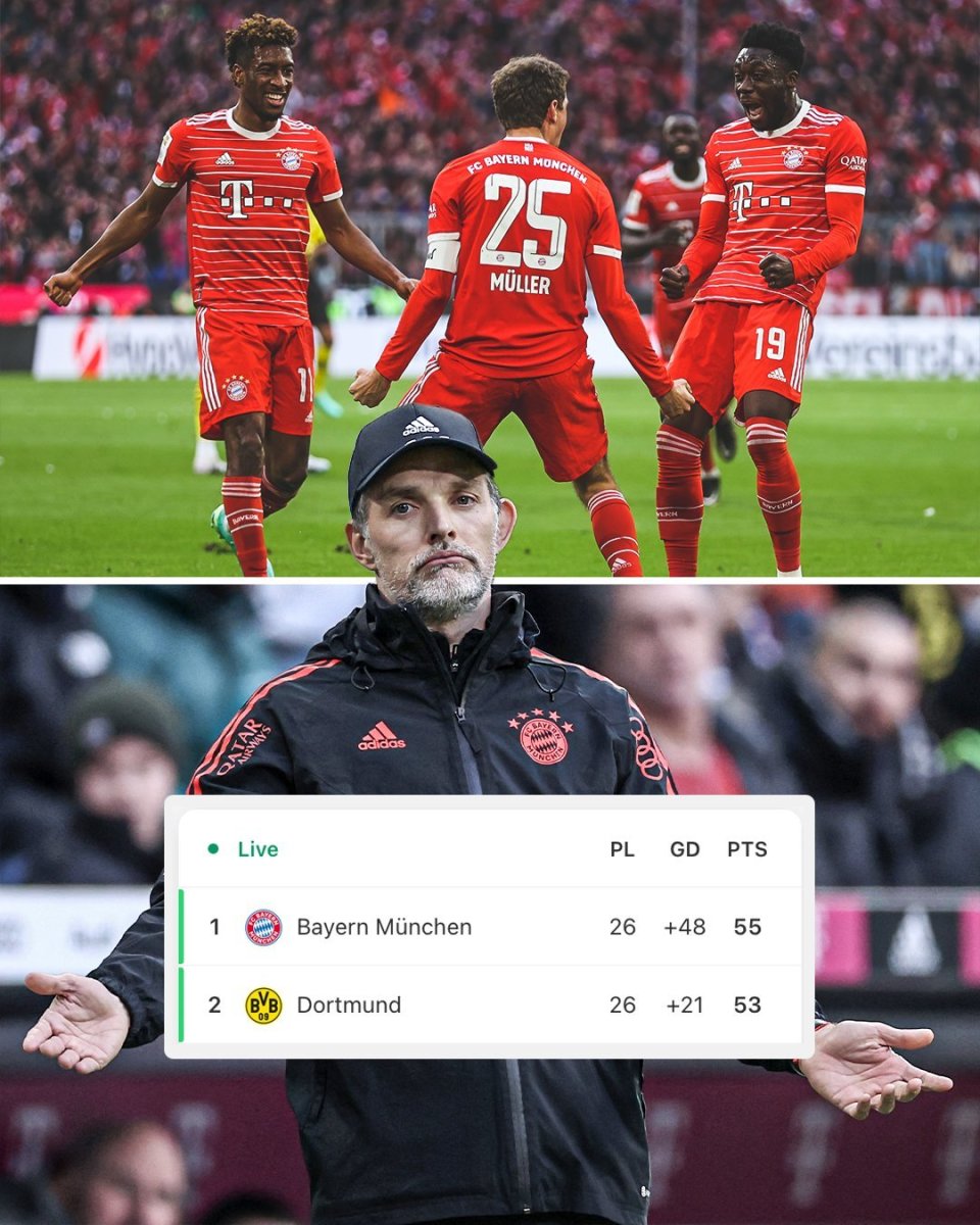 包含国王杯倒计时，那不勒斯今夜强势反弹，细节引发关注，信心回归，心理建设被强调的词条